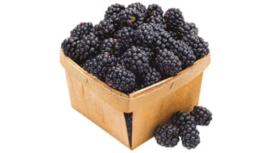 Organic Blackberries