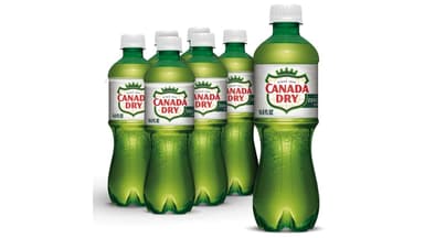 Canada Dry Zero Sugar Ginger Ale