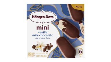 Haagen-Dazs Vanilla Milk Chocolate Mini Ice Cream Bars