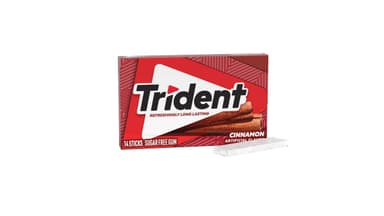 Trident Sugar Free Cinnamon Chewing Gum