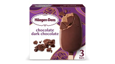 Haagen-Dazs Chocolate Dark Chocolate Ice Cream Bars