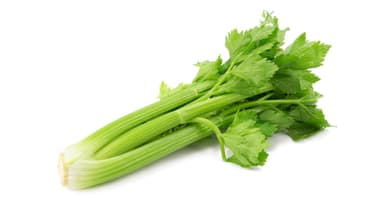 Celery (bunch)
