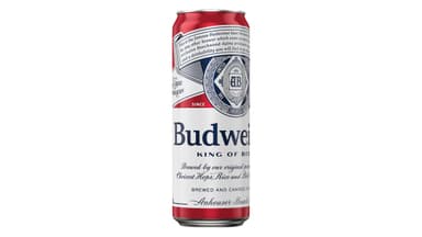 Budweiser American Lager