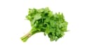 Cilantro (bunch)