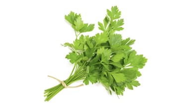 Organic Cilantro (bunch)