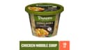 Panera Bread Chicken Noodle Soup