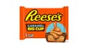 Reese's Big Cup Caramel Milk Chocolate Peanut Butter Cup